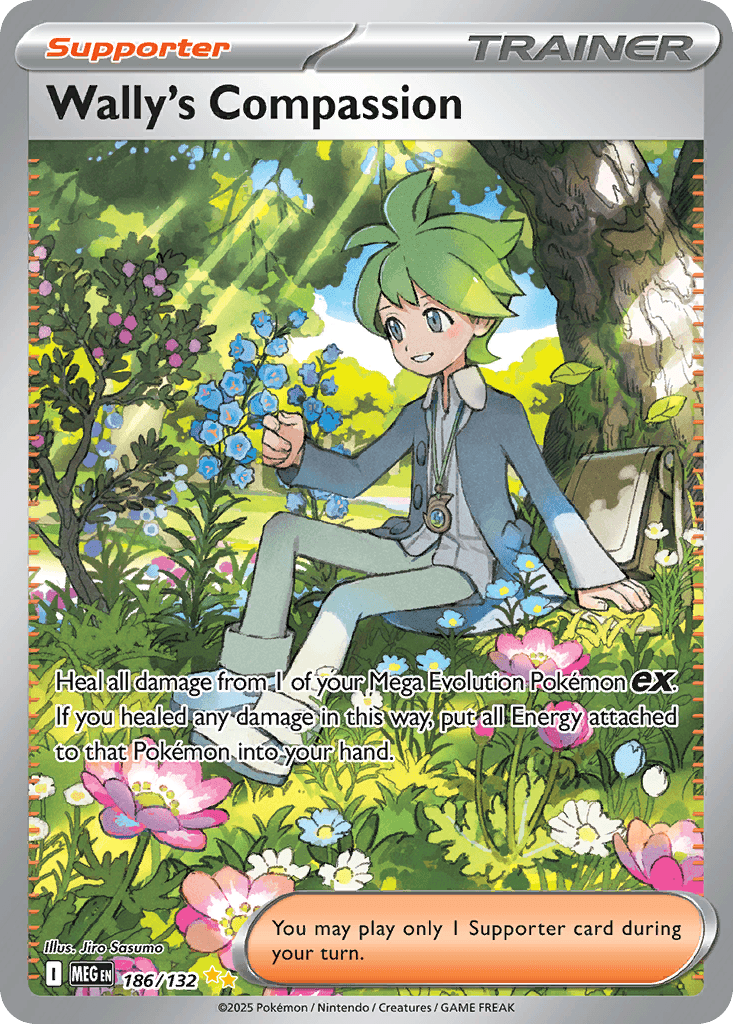 Wally's Compassion — Mega Evolution Pokemon card