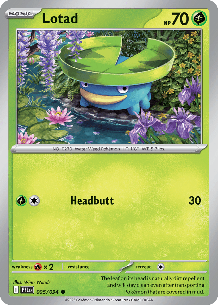 Lotad — Phantasmal Flames Pokemon card