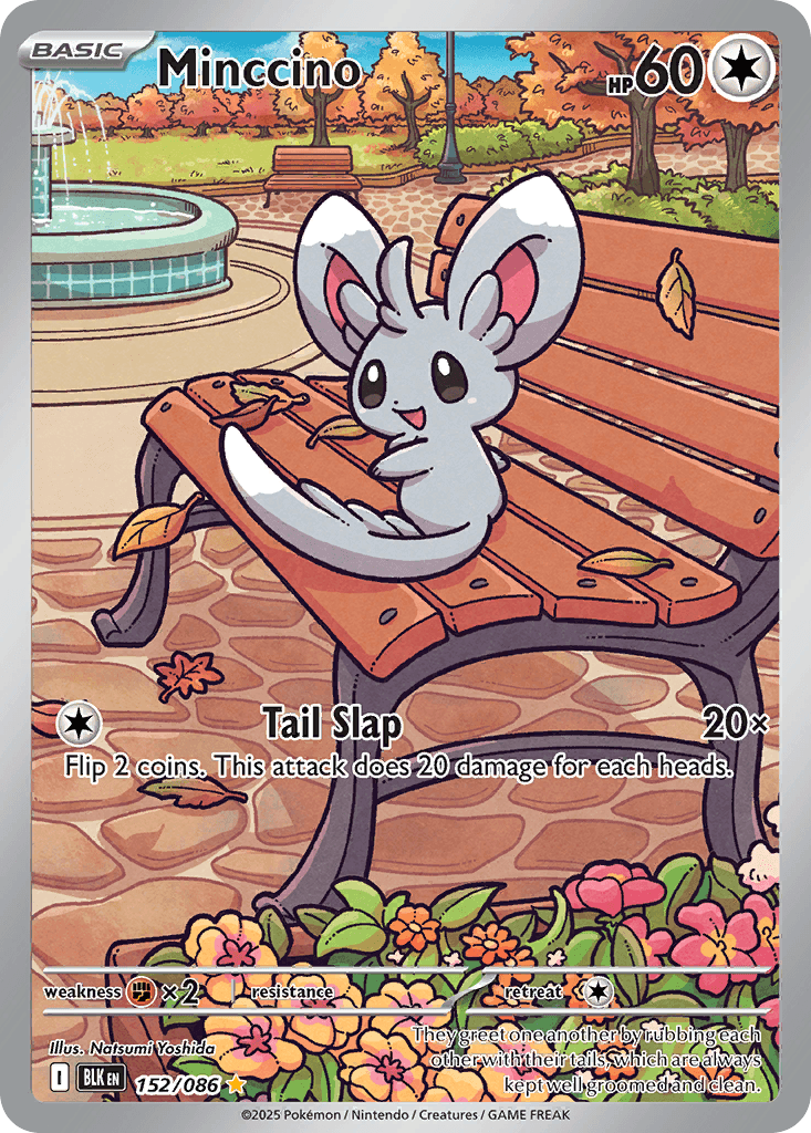Minccino — Black Bolt Pokemon card